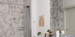 Prose Vista West Gallery 8