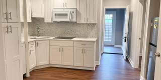 44400 STONE ROSES Circle Gallery 1