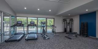 The Nelson Gallery 23