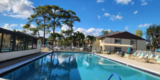 310 Knotty Pine Circle Gallery 14