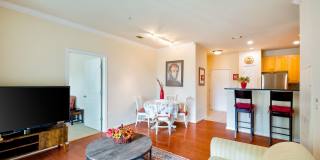 Elegant 2BD Condo with Unbeatable Access & Premium Features in Arlington w/ Parking! Elegant 2BD Condo with Unbeatable Access & Premium Features in Arlington w/ Parking! Gallery 17