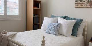 29657 Starring Gallery 26