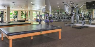 The Piero Gallery 25