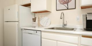 Pinewood Terrace Gallery 8