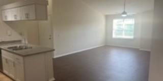 Promenade At Tampa Palms Gallery 10