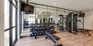 Aura Northline Gallery 27