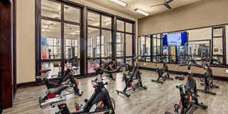 The Royce 8100 The Royce 8100 Gallery 26