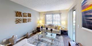 Laurel Oaks Gallery 3