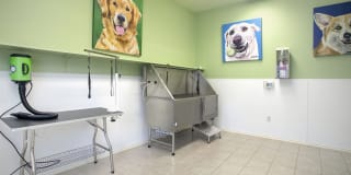 Summerwood Apartments Gallery 33