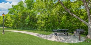 Medical Center Gallery 25