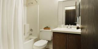 Cedaridge Gallery 11