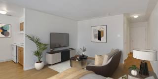 60 Corona Gallery 7