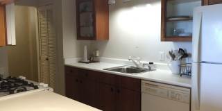 Fully furnished 2BDRM/2BATH Gallery 4