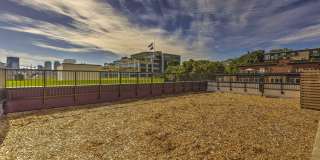 Westlake Steps Gallery 13