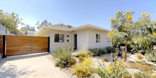 HUGE House on College! Quick Walk to Campus! Gallery 1