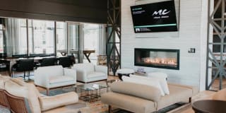 Tanager Tanager Gallery 28