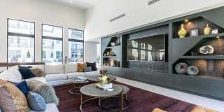 Tailor O4W Gallery 32