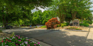 Mountain View Gallery 32