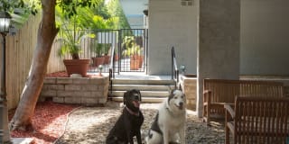 eaves Old Town Pasadena Gallery 21