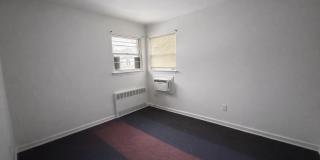 46 Elmira Street Gallery 3