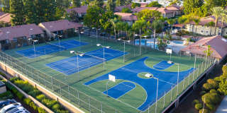 Citrus Place Gallery 48