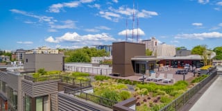 The Chloe Apartments Gallery 41