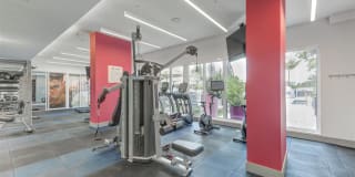 Altis Little Havana Gallery 20