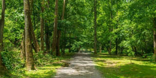 Hominy at RiverBlue Gallery 4