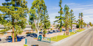 Valley Springs Gallery 12