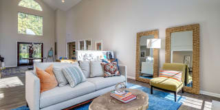 Palmetto Grove Palmetto Grove Gallery 2