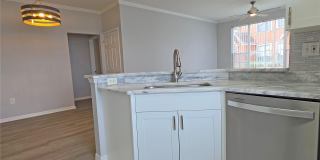 9018 LAKE CHASE ISLAND Way 9018 LAKE CHASE ISLAND Way Gallery 7