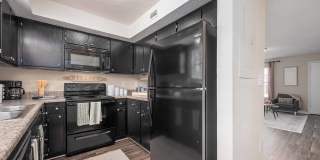 Georgia Green Gallery 4