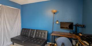 3913 Pearl Court Gallery 4