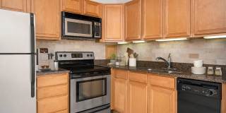 55 West Chestnut Gallery 22