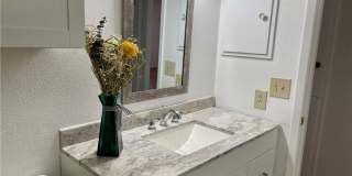 505 Buttercup Gallery 15