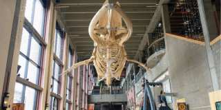 256 Union Avenue Southeast Gallery 49