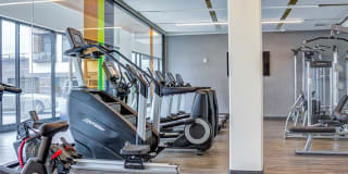 Central Park West Central Park West Gallery 17