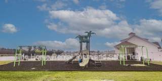 18 Sago Palm Way Gallery 30
