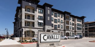 Cavalli at Iron Horse Station Gallery 25