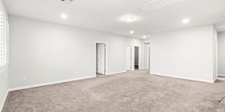 4165 Vibrant Star Avenue Gallery 23
