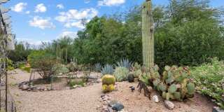 25409 N QUAIL HAVEN Drive Gallery 28