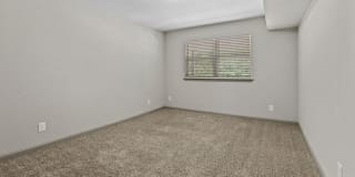 Summit on Central Summit on Central Gallery 48