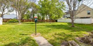 8244 Windmill Farms Drive - 1 8244 Windmill Farms Drive - 1 Gallery 20
