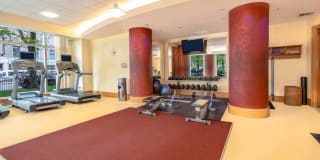 The West End Apartments-Asteria, Villas and Vesta Gallery 44