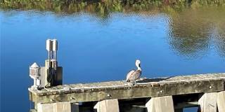 333 THE ESPLANADE N Gallery 47