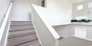 203 MADISON Circle Gallery 24