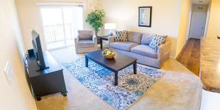 Brant Creek Gallery 1