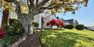 Magnolia Home Magnolia Home Gallery 1