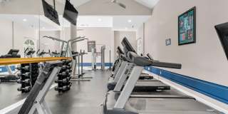 The Graham Gallery 11