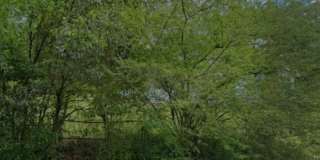 3316 Branch Street Gallery 1